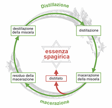 Le essenze LUNASOL e la spagirica